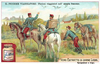 Piccioni viaggiatori dell
