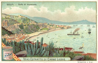 Golfo del Venezuela da European School