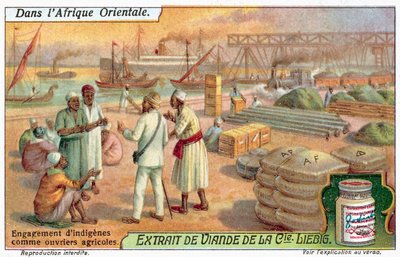 Assunzione di lavoratori agricoli locali da European School