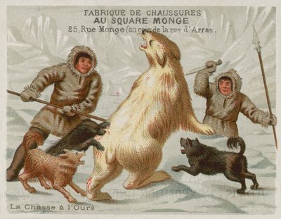 Caccia agli orsi polari con cani da European School