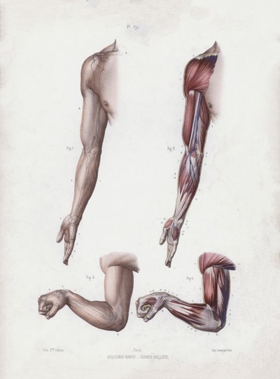 Illustrazione per L