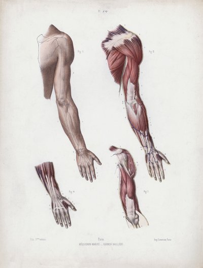 Illustrazione per L