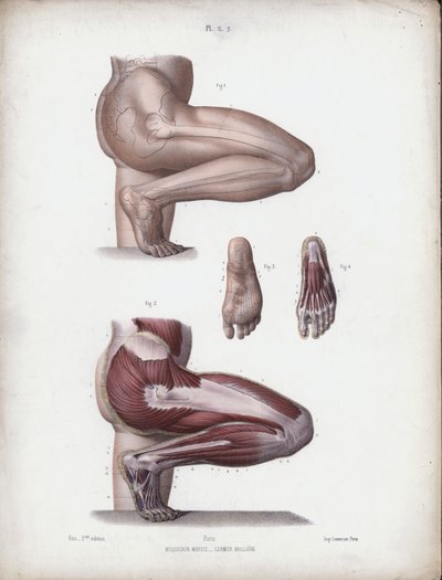 Illustrazione per L