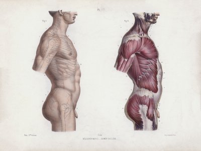 Illustrazione per L