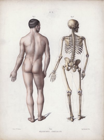 Illustrazione per L
