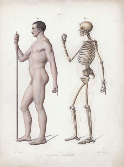 Illustrazione per L