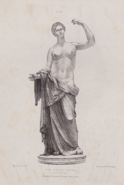 Illustrazione per L