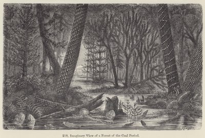 Veduta immaginaria di una foresta del periodo carbonifero da European School