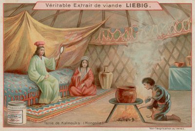 Dentro una tenda in Mongolia da European School