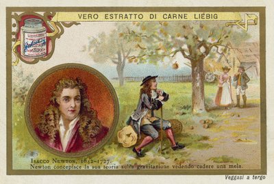 Isaac Newton, fisico e matematico inglese da European School