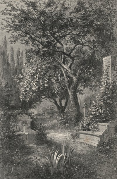 Giardino di Alcinoo da European School