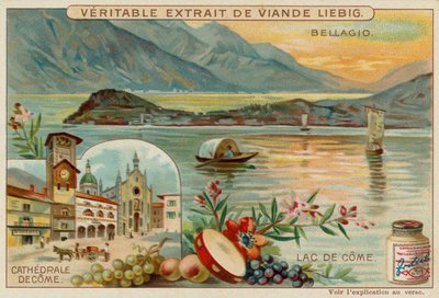 Lago di Como da European School