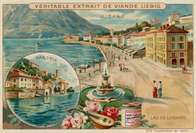 Lago di Lugano da European School