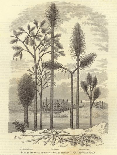 Paesaggi del mondo primitivo da European School