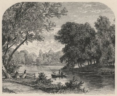 Il bosco a L
