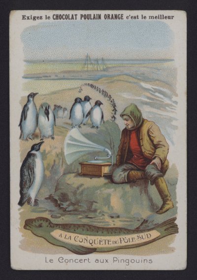 Il Concerto dei Pinguini da European School