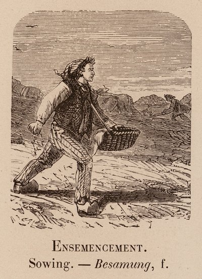Le Vocabulaire Illustre: Semina; Sowing; Besamung da European School