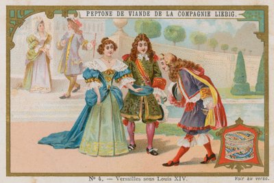 La Versailles di Luigi XIV da European School