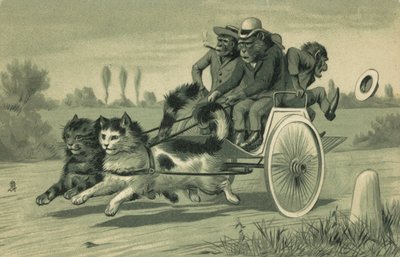 Scimmie che guidano una carrozza trainata da due gatti da European School