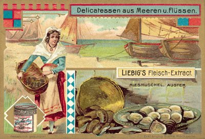 Cozze e ostriche da European School
