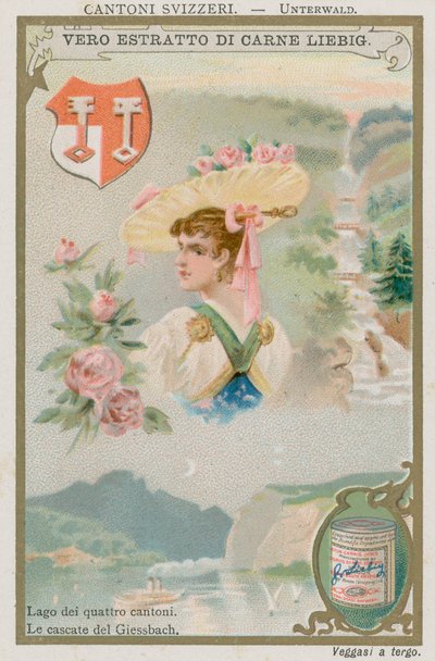 Nidvaldo da European School