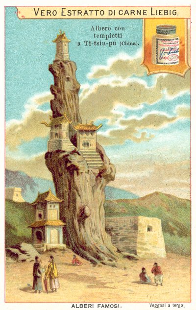Vecchio albero con templi in Cina da European School