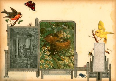Pagina del Sammelsurium Volume I (materiale a stampa) da European School