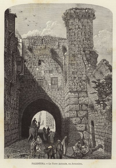 Palestina, La Torre Antonia, a Gerusalemme da European School