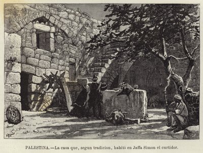 Palestina, La casa che, secondo la tradizione, abitò a Giaffa Simone il conciatore da European School