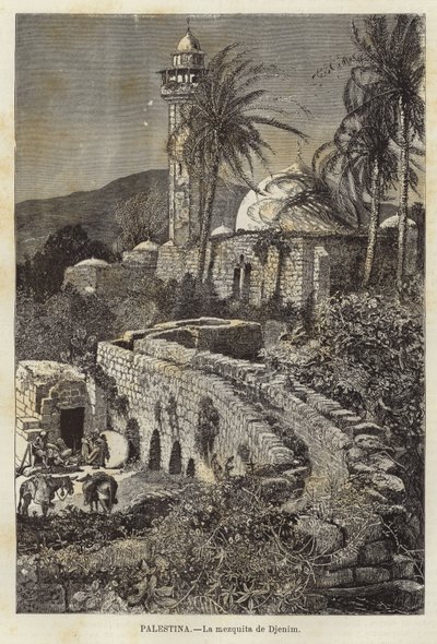 Moschea di Djenim da European School