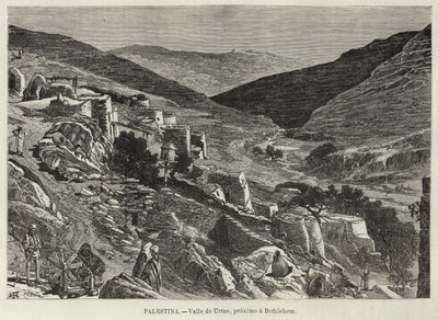 Palestina, Valle di Urtas, vicino a Betlemme da European School