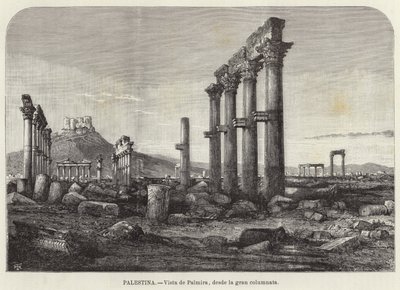 Palestina, Vista di Palmira, dalla grande colonnata da European School