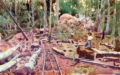 Penetrazione nella foresta amazzonica, ferrovia Madeira-Mamore (litografia a colori) da European School