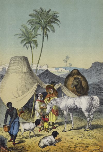 Persone, animali e piante del Nord Africa e Arabia da European School