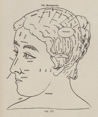 Frenologia, una direttrice (litografia) da European School