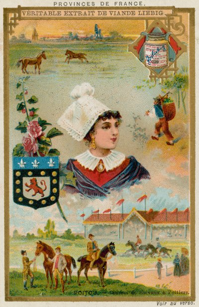 Poitou da European School