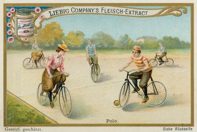 Polo da European School