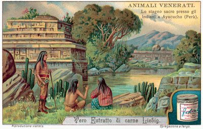 Piscina di pesci sacri ad Ayacucho, Perù da European School
