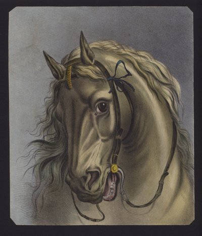 Ritratto di cavallo (litografia a colori) da European School