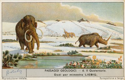 Mondo preistorico, carta Liebig, inizio XX secolo (cromo) da European School