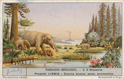 Mondo preistorico, carta Liebig, inizio XX secolo (cromo) da European School