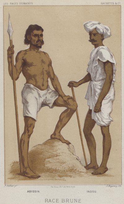 Razza bruna, abissina, indù da European School