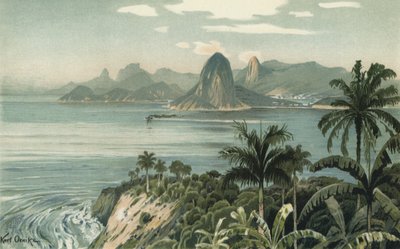 Rio de Janeiro, Brasile da European School