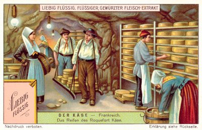 Formaggi Roquefort in maturazione in Francia da European School
