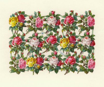 Rose da European School