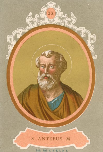 S Anterus M da European School