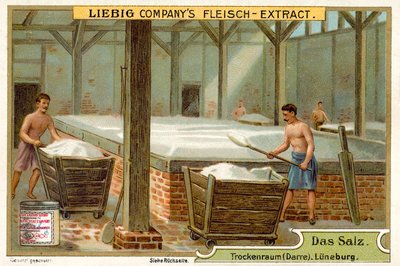 Sale: stanza di essiccazione, Luneburg, Germania da European School