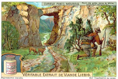 Ponte di arenaria nel White Canyon, Virginia da European School