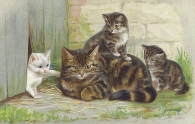 Gatto soriano con tre gattini (cromolito) da European School