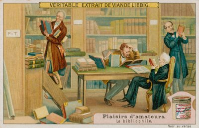 Il bibliofilo dilettante da European School